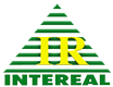 Intereal logo